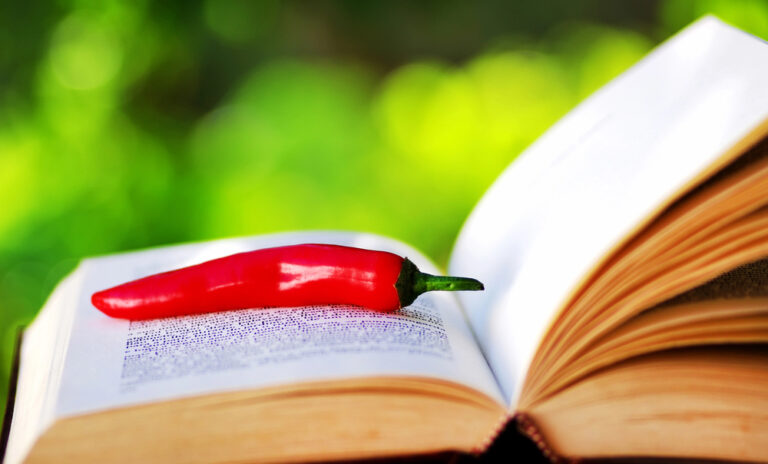 Romance Spice Rating Database (Best Spicy Romance Books Ranked)