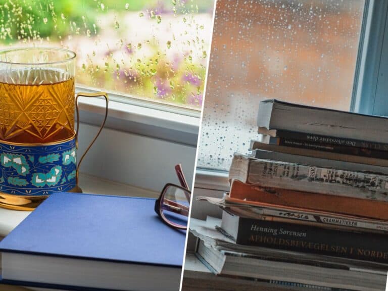 Rainy Evening Reading Rituals: Create the Perfect Cozy Reading Night